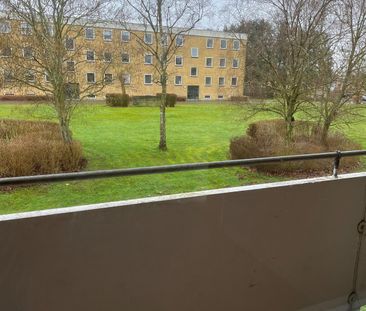 Falkevej 48, st., Viborg - Photo 6