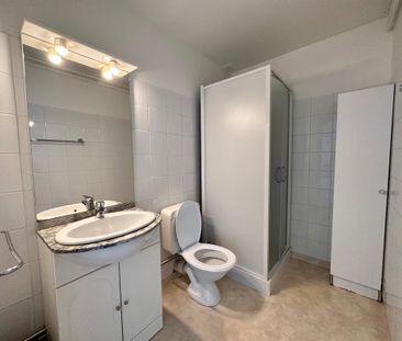 Location Appartement 1 pièce 21m² LE BOURGET DU LAC 73370 - Photo 3