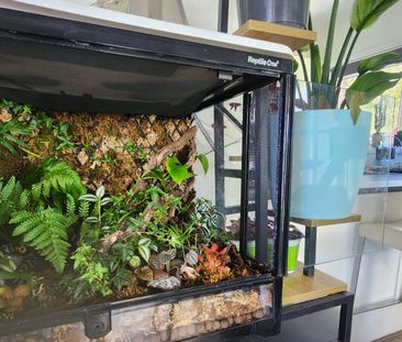 Craigieburn - Photo 3