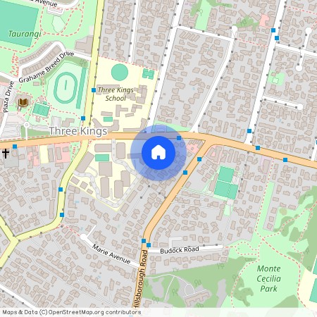 545 Mount Albert Road, Mount Albert, Auckland City