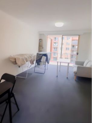 460 Jones St, Sydney - Photo 1