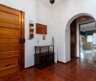 Santarém, Santarem - Photo 5