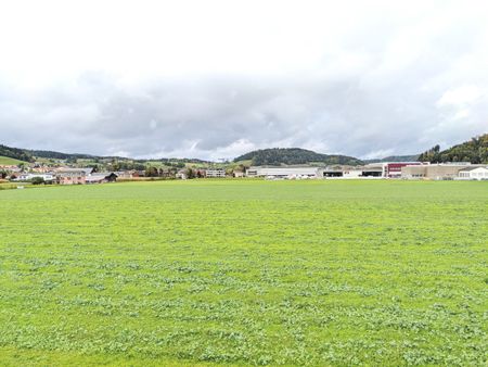 2.5-Zimmerwohnung mit grüner Aussicht - Foto 4