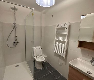 Location Appartement 1 pièce 43m² - Photo 4