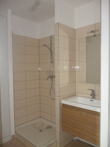 APPARTEMENT COLMAR - Photo 3