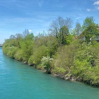 4½ Zimmer-Wohnung in Steffisburg (BE), möbliert, auf Zeit - Foto 1