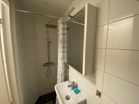 Folkungagatan, Linköping - Photo 4