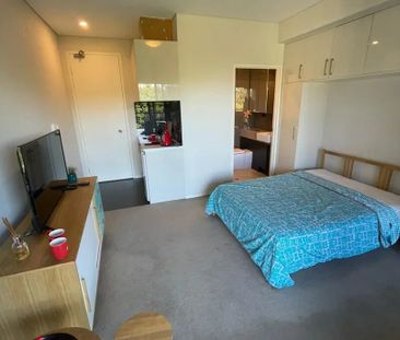 Zetland - Photo 2