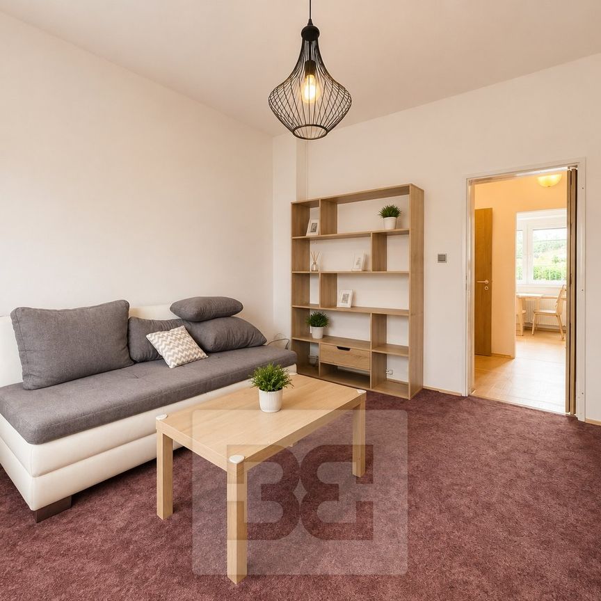 Pronájem bytu 2+1 45 m², Slatinská 2721, Brno - Photo 1