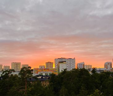 Trollesundsvägen, Bandhagen - Photo 5