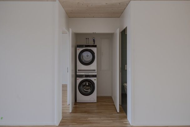 Erstvermietung «Luegisland 350 - natürlich wohnen» - Foto 1