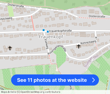 Penthousewohnung auf der Gänsheide - Photo 1