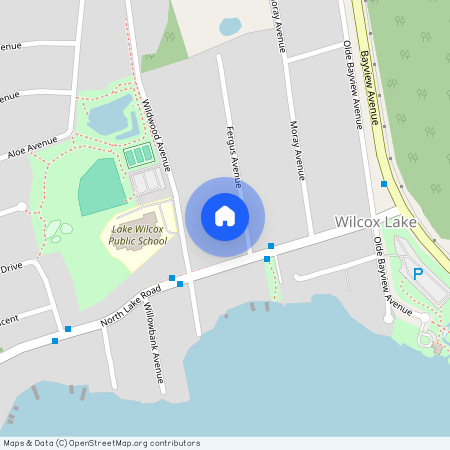 22 Fergus Ave, Richmond Hill, Richmond Hill, York, L4E 3B5