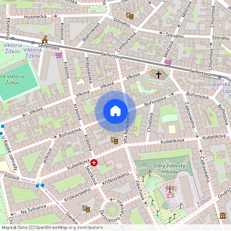 Bořivojova, Praha - Žižkov