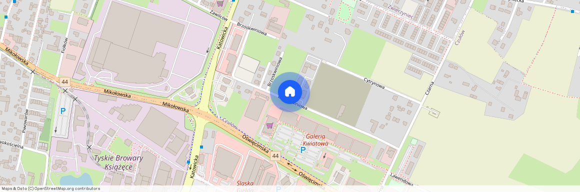 ul. Brzoskwiniowa, Czułów, Tychy, śląskie
