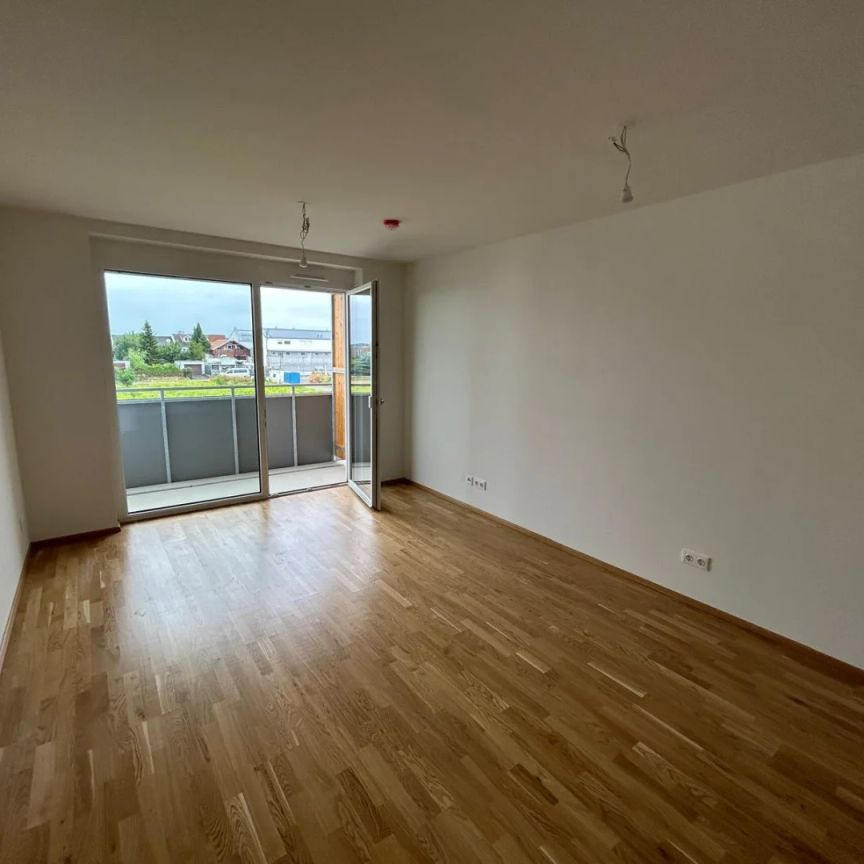 Schöne 2-Zimmer Wohnung in ruhiger Lage in Gerasdorf - ab 01.03 - Photo 1