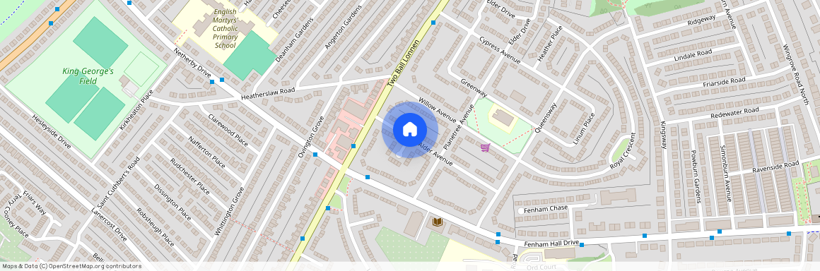 Alder Avenue, NE4 9TD, Newcastle Upon Tyne