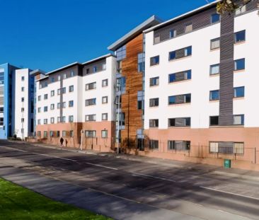 Double Ensuite (within 4 bed flat) - Photo 5