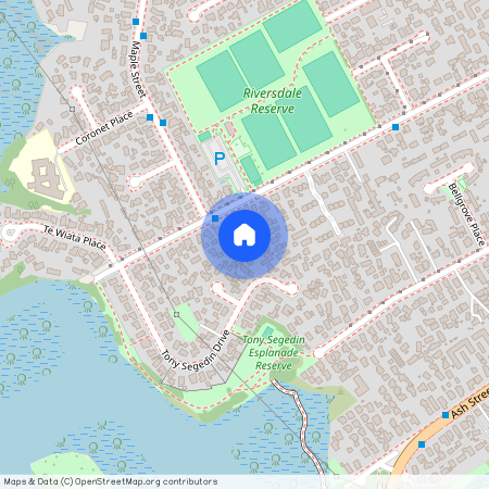 50 Tony Segedin Drive, Avondale, Auckland City