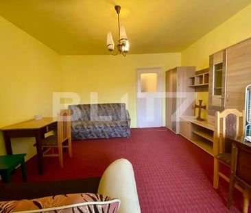 Garsoniera, 27 mp, pet-friendly, Manastur, zona strazii Parang - Photo 3