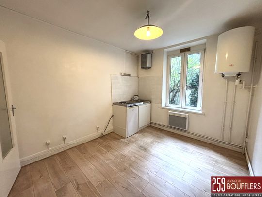 Location Appartement 1 pièce 29m² NANCY 54000 - Photo 1