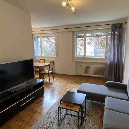 Bel appartement de 3.5 pièces au rez-de-chaussée - Foto 3