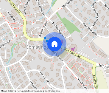 Rent a 4 ½ rooms apartment in Ebmatingen - Photo 1