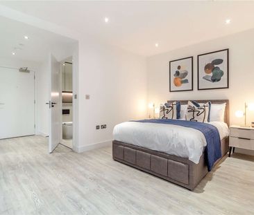 Fully-furnished, south-facing studio apartment - Photo 5