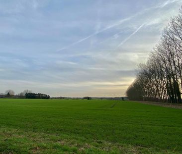 5 bedroom house to rent - Photo 6