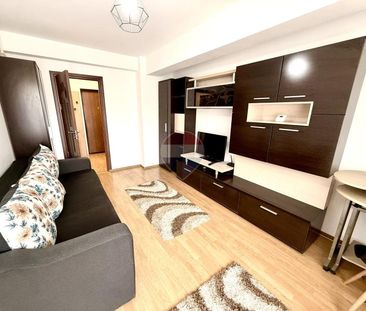 Apartament cu o camera de inchiriat pe Strada Plopilor. Pet Friendly - Photo 3