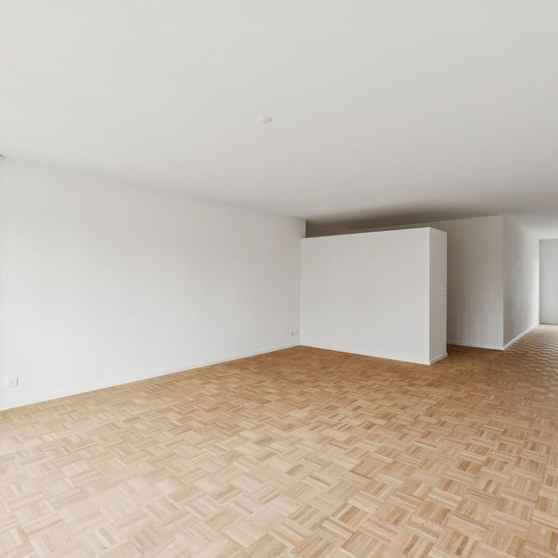 Grosszügige 4.5-Zimmer-Wohnung - Photo 1