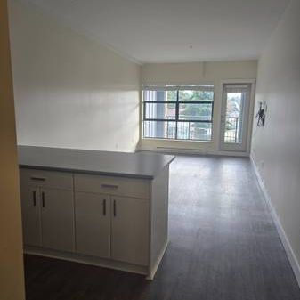 Pet Friendly Unfurnished Studio with Balcony (6638 Main Street) - Photo 3