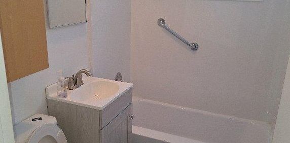 grand 3,5 +1 piece 8x9,RÉNOVÉ 3PLEX VIEUX-LONGUEUIL - Photo 2