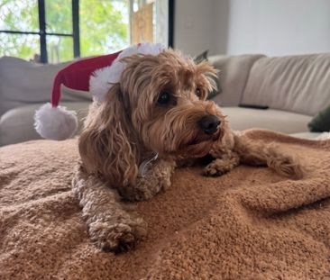 Manly Vale - Photo 3