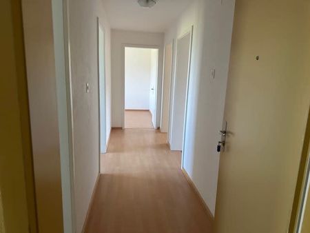 3 Zimmer, 62 m², 1. Stock - Foto 3