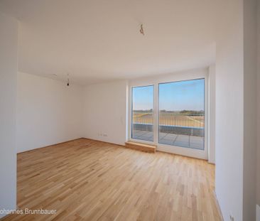 2-Zimmer Dachgeschosswohnung mit toller Terrasse - Photo 1