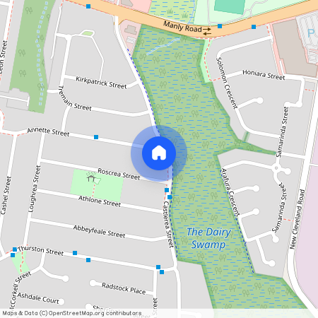 49 Castlerea Street, Tingalpa