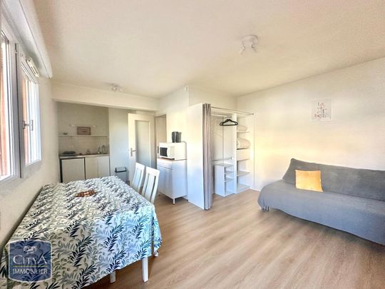 Location Appartement 1 pièce 24m² ANGERS 49100 - Photo 1