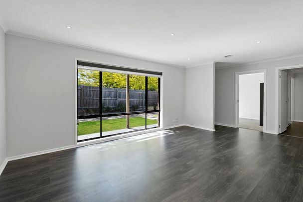 Amazing Amber! - Photo 1