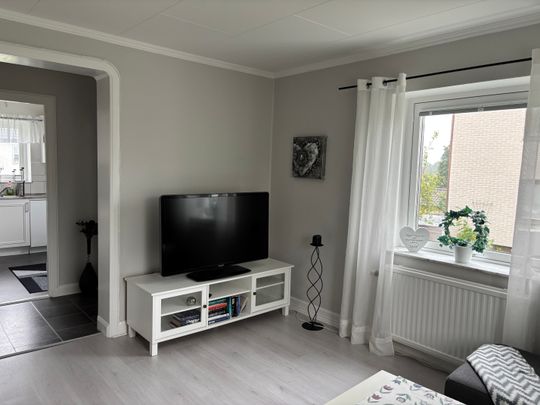 Ribbingsgatan, Borås - Photo 1