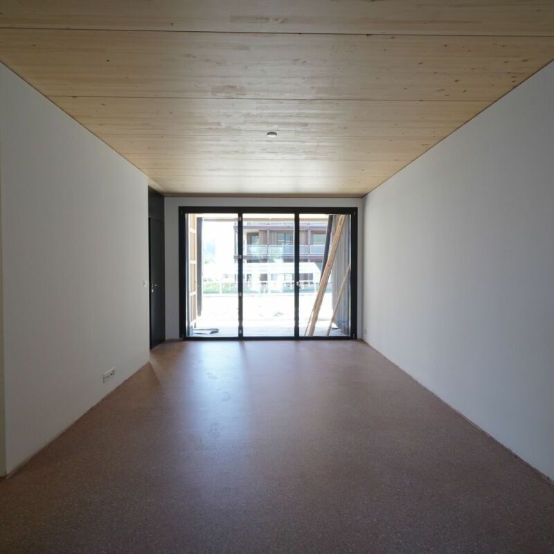 Atelier-Wohnung im suburbanen Schweighofquartier - Photo 1
