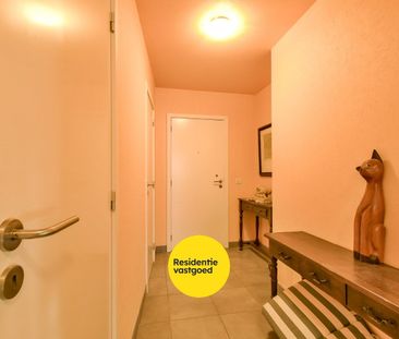 KIJKDAG zaterdag 15/11 van 10u tot 12u, op afspraak! - Photo 1