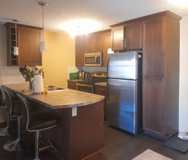 1 Bed Apartment | Schonsee Edmonton | Gas & Water Included - Photo 3