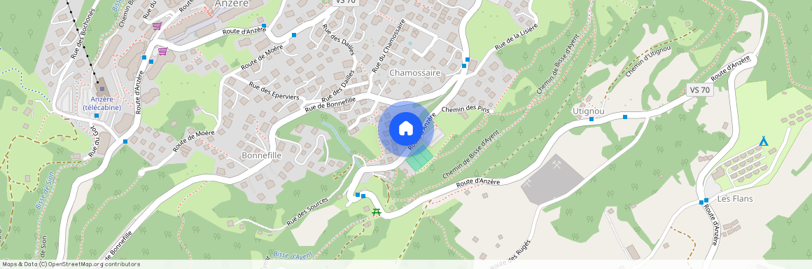 Route d'Anzère 110, 1972 Anzère