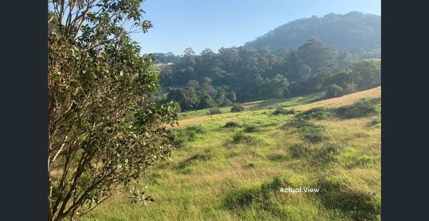 Incredible Views - Photo 1