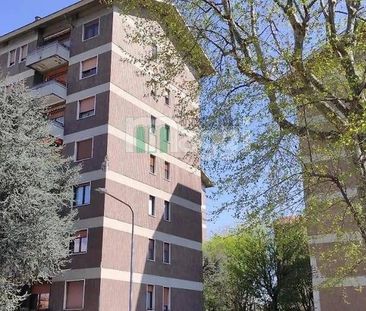 Via Attilio Regolo, Milano, Lombardy 20138 - Photo 5