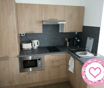 Location Appartement 1 pièce 22m² SULLY SUR LOIRE 45600 - Photo 3