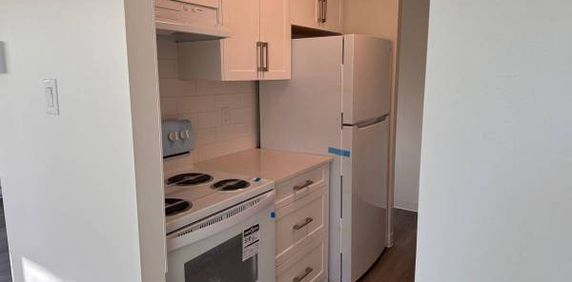 1-Bedroom Fully Renovated close to SkyTrain (Lougheed) - Photo 2