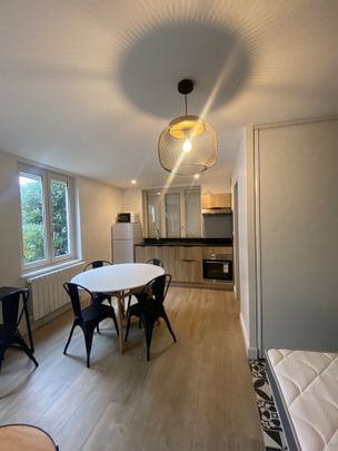 Location Appartement 1 pièce 26m² BRIGNAIS 69530 - Photo 1