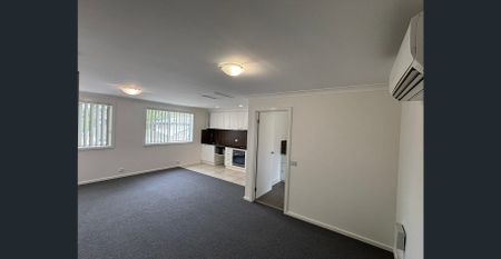 Water Included! Freshly renovated, bright, Free-standing Studio with a leafy outlook + Terrace! (Entry is from Cadman Ave) - Photo 3
